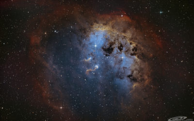 NGC1893